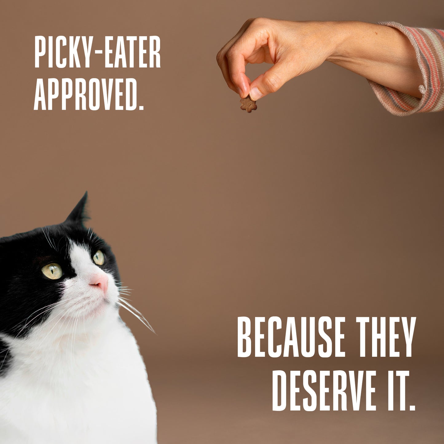 Living Treats – Snack probiótico intestinal saludable para gatos
