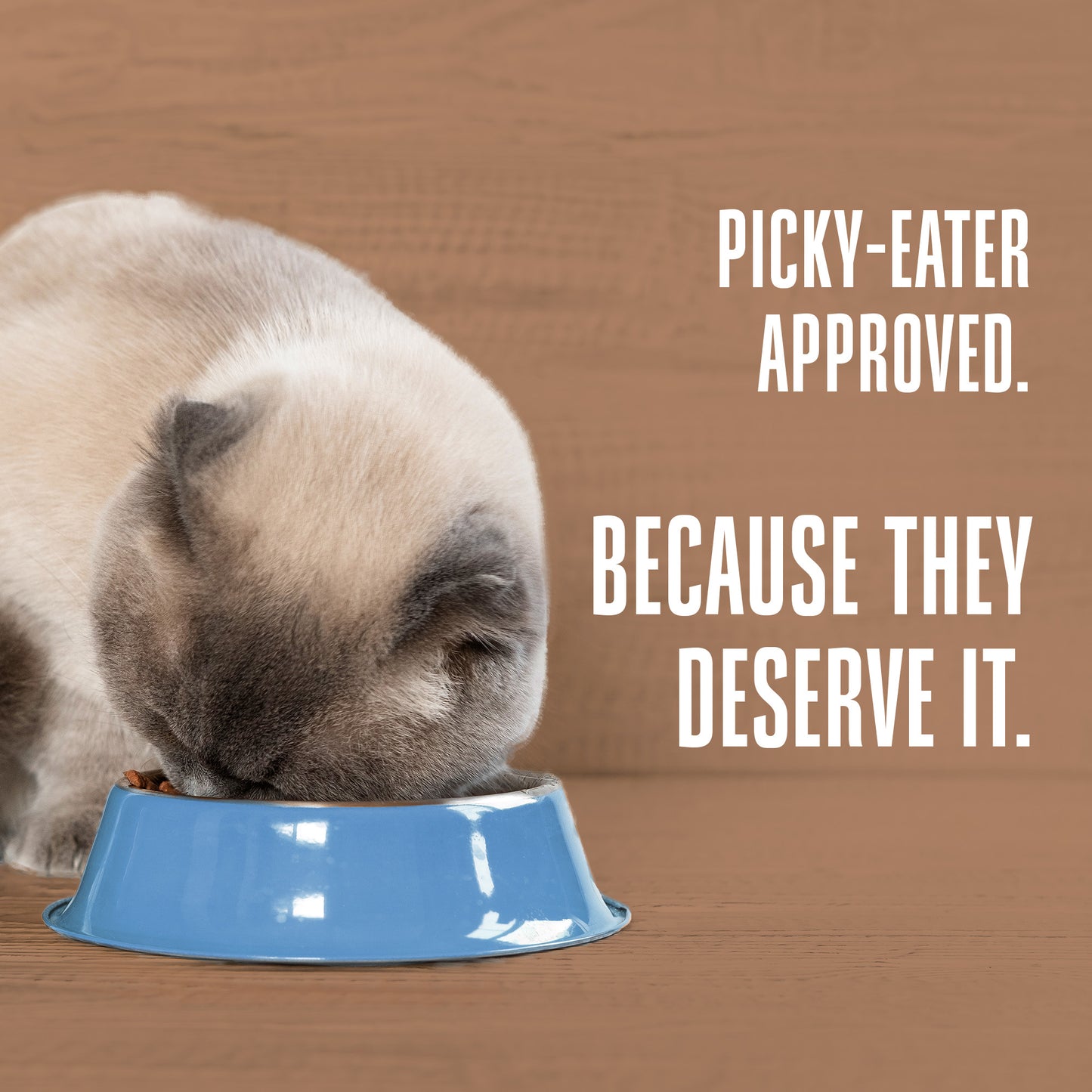 Nature’s Remedy Chicken & Rice for Cats.  Human-Grade Interim Diet for Stomach Upset - Made in Our Own Kitchens