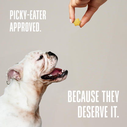 Living Treats – Pumpkin and Yogurt Recipe Probiotic Treats For Dogs.  Human Grade and Grain Free - Made In Our Own Kitchen