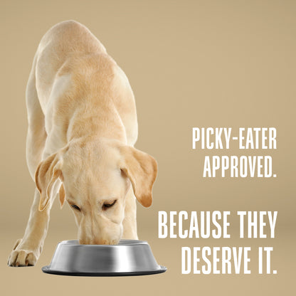 Suplementos alimenticios integrales para perros Nature's Remedy Healthy Gut 
