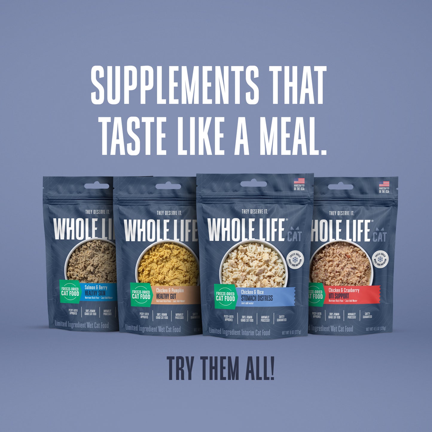 Hydrating Snack and Meal Complement For Cats – Healthy Gut Pâté