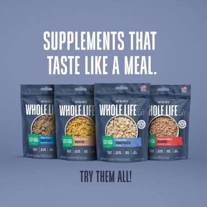 Hydrating Snack and Meal Complement For Cats – Healthy Gut Pâté