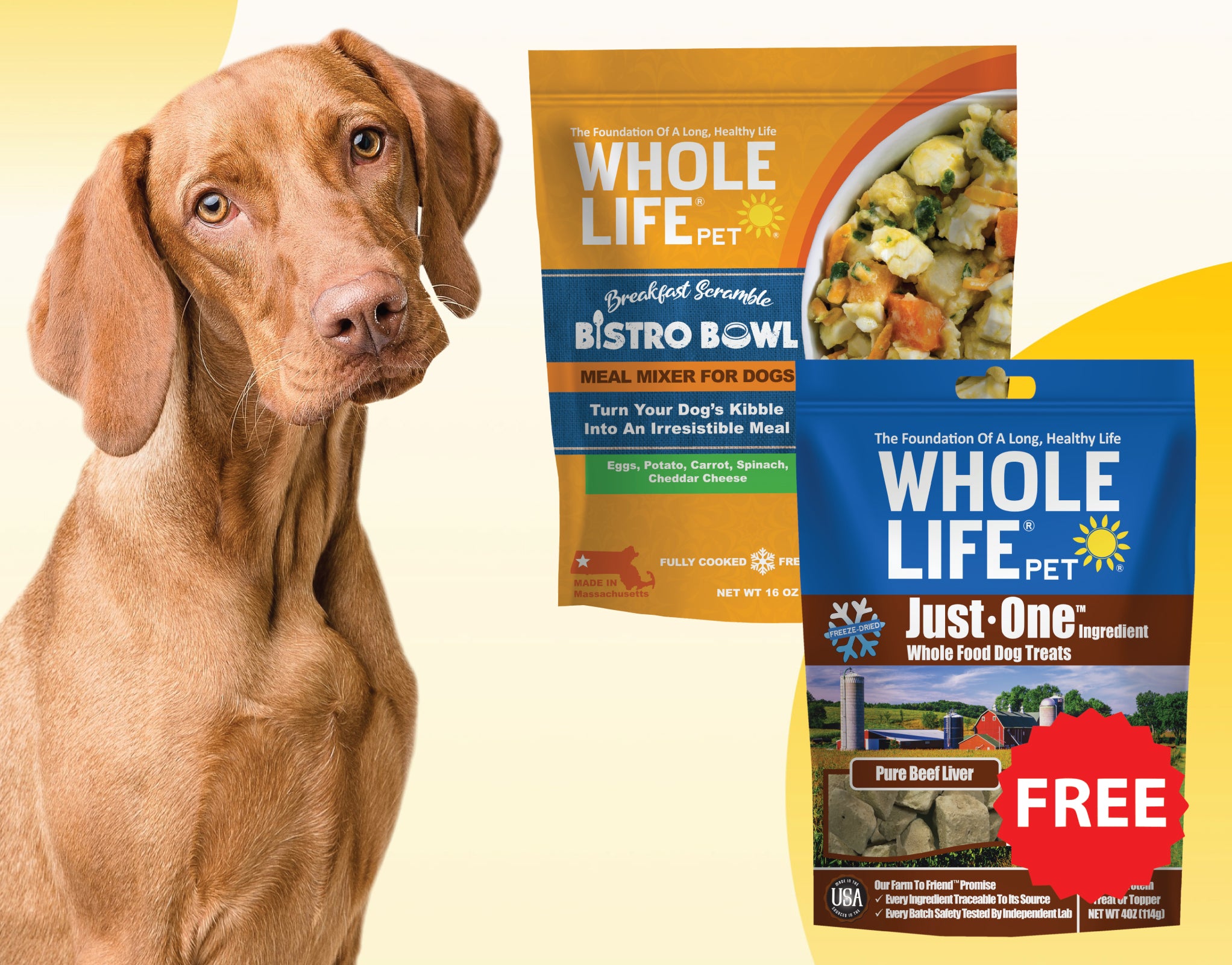 Breakfast Delight Bundle - Bistro Bowl Breakfast Blend 16oz + FREE Just One Beef Liver Treats 4oz ($52.00 Value)