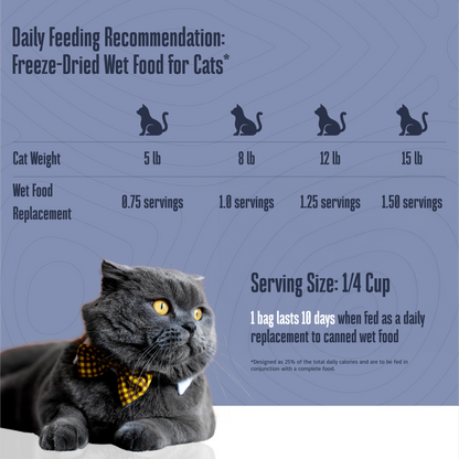 Freeze-Dried Wet Food for Cats
