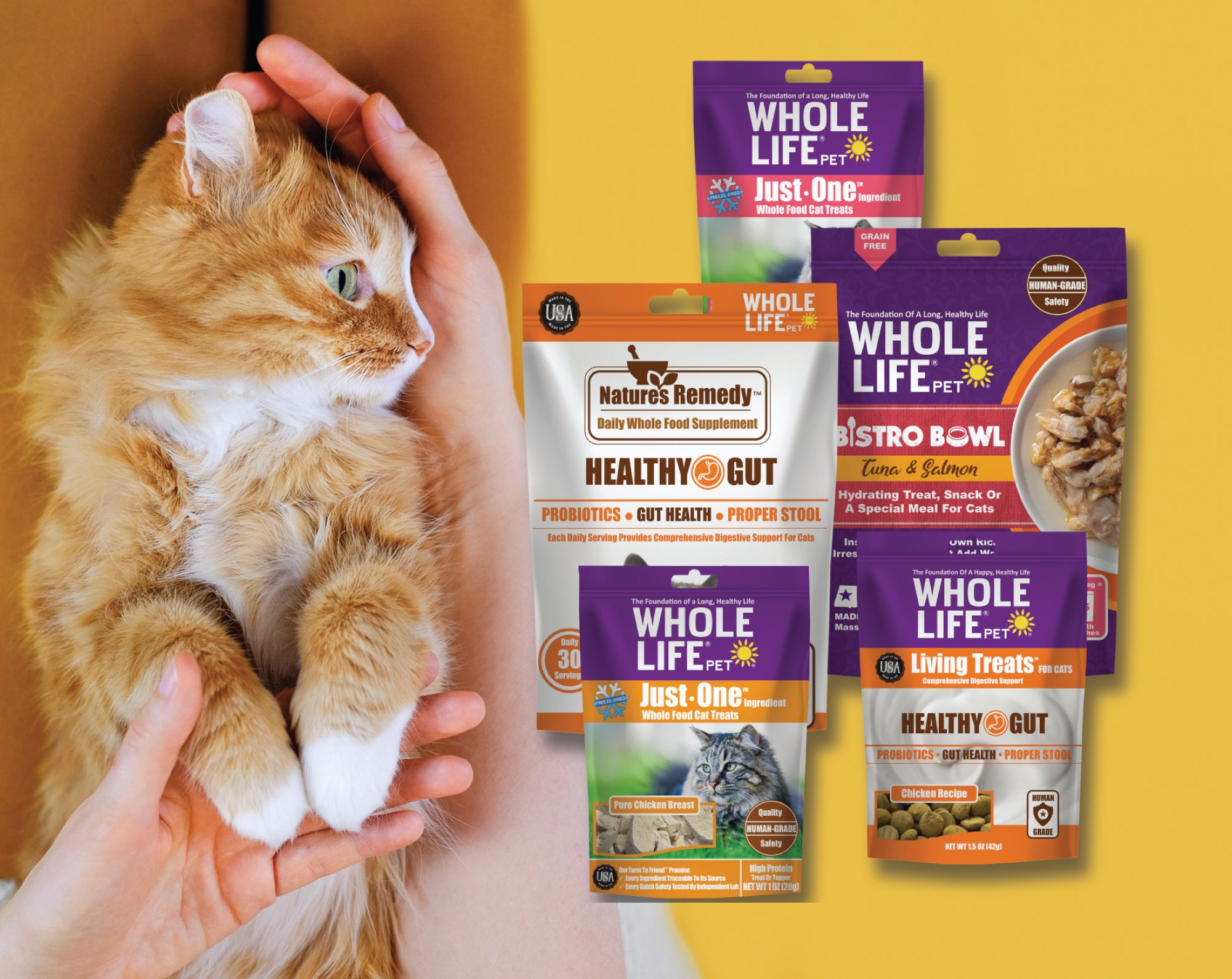 Nuestro mejor paquete felino: salud de todo el cuerpo