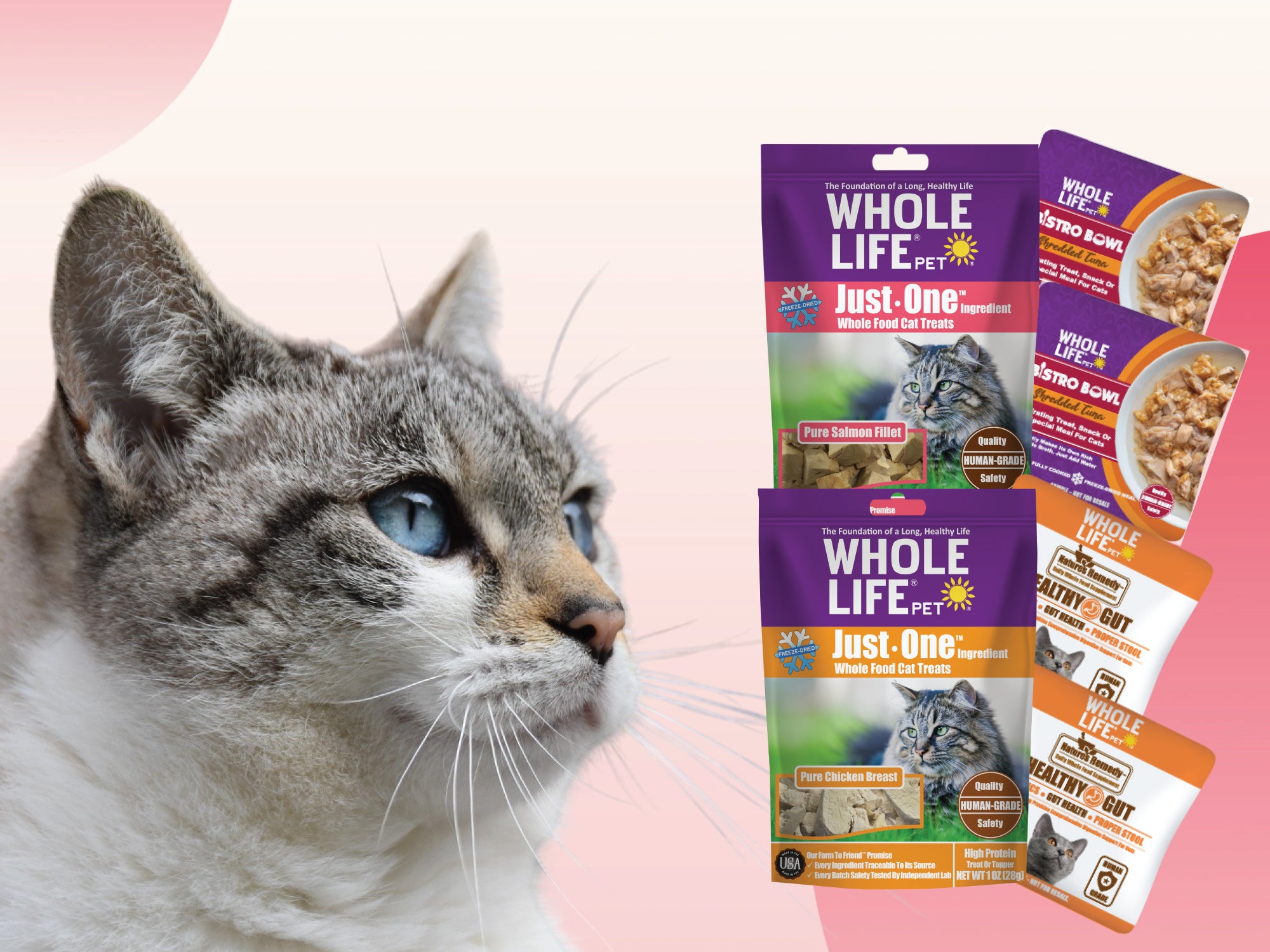 Free Feline Multi-Sampler Pack