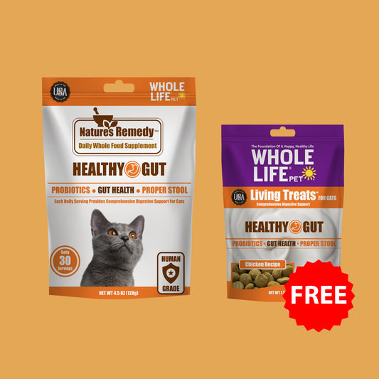 Healthy Gut Support + Free Gut Health Treats - $26 Total Value (Gut Probiotic Snack)