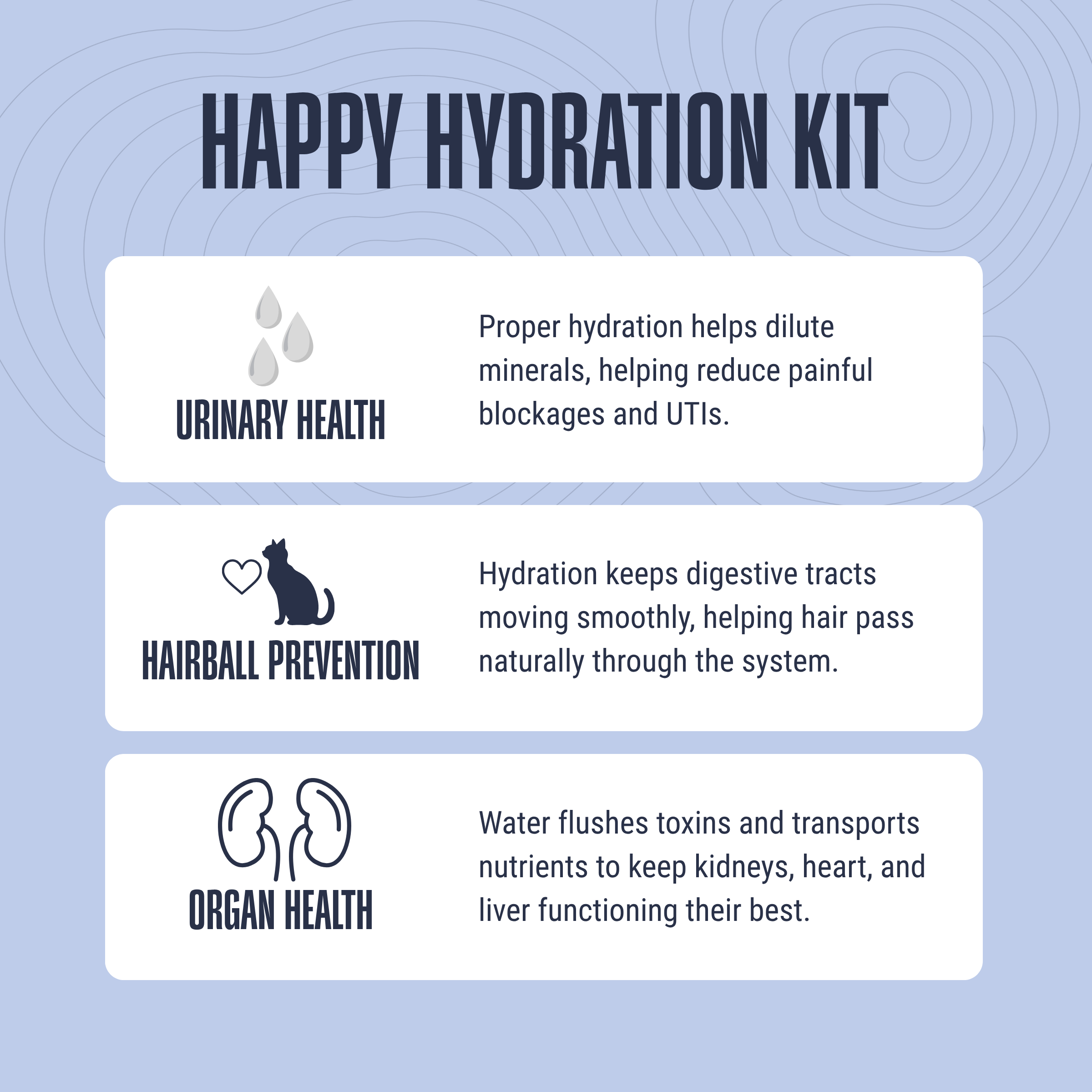 Happy Hydration Kit