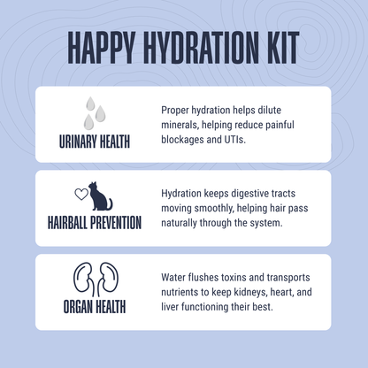 Happy Hydration Kit