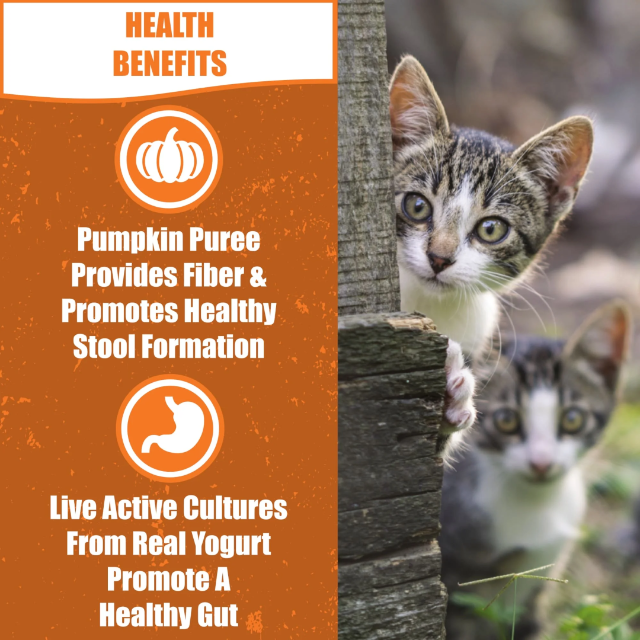 Living Treats – Healthy Gut Probiotic Snack For Cats