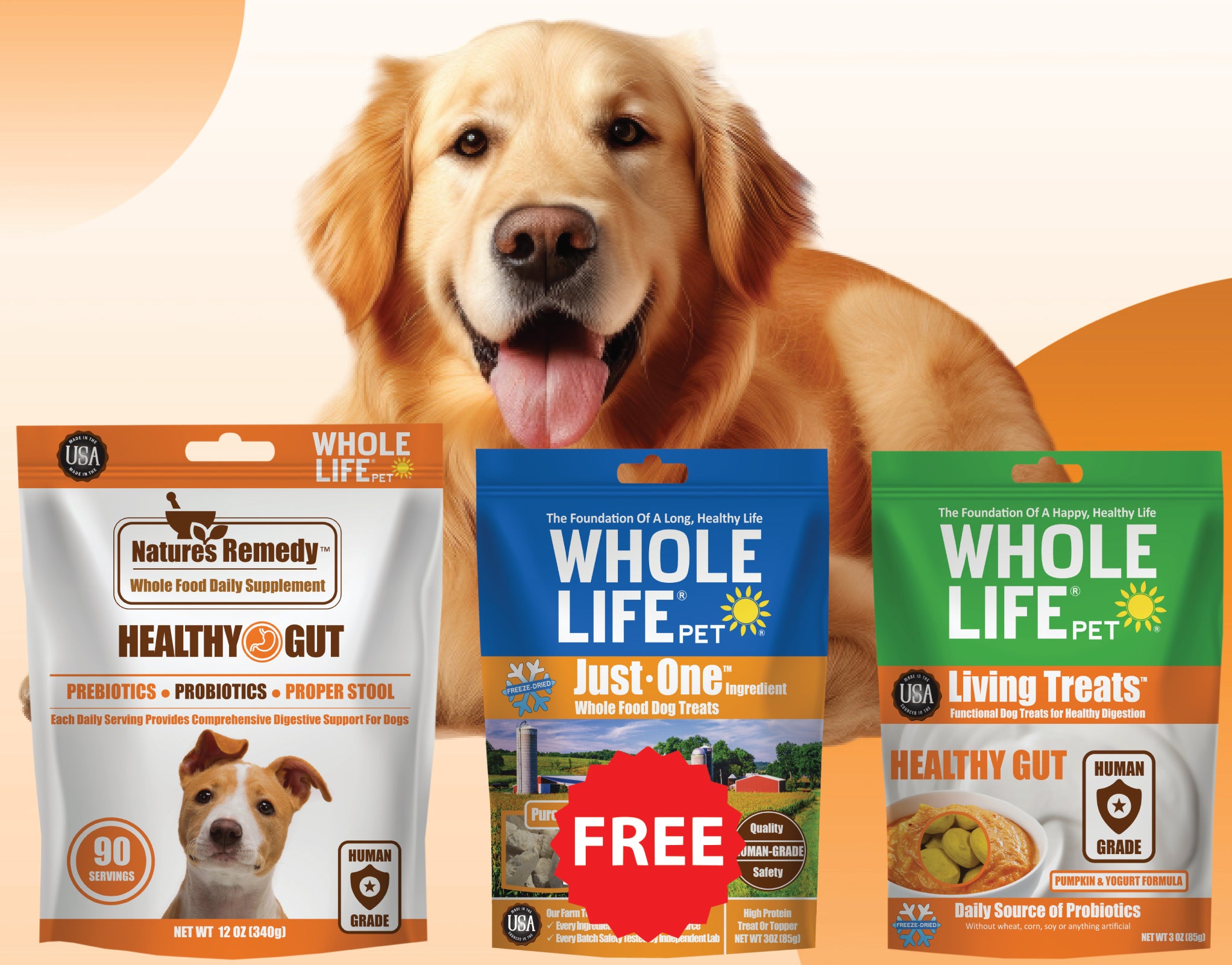 Healthy Gut Bundle - Nature's Remedy Healthy Gut 12oz, Living Treats Pumpkin 3oz + FREE Just One Chicken Treats 3oz ($49 Value)