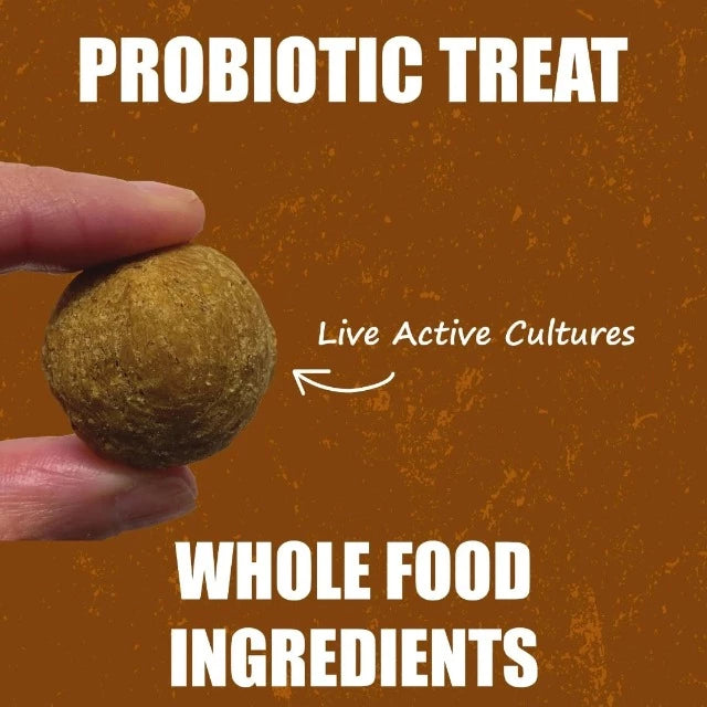 Living Treats – Receta de mantequilla de maní y yogur Probióticos para perros 