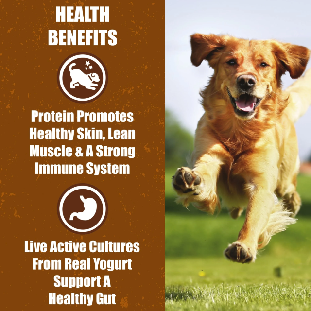 Living Treats – Receta de mantequilla de maní y yogur Probióticos para perros 