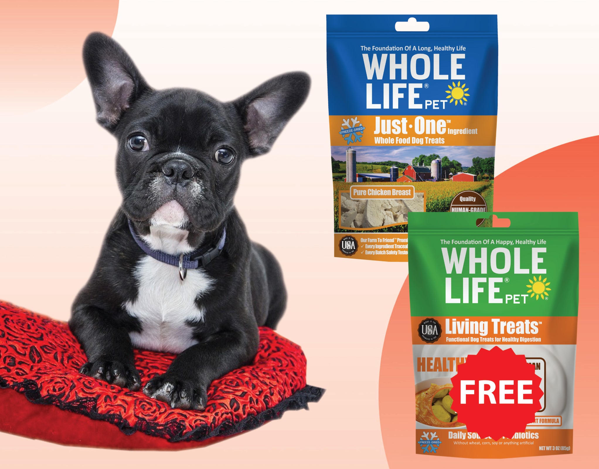 Protein and Probiotic Boost Treat Combo - Just One Chicken Dog Treats 3oz + FREE Living Treats Pumpkin 3oz ($19 Value)