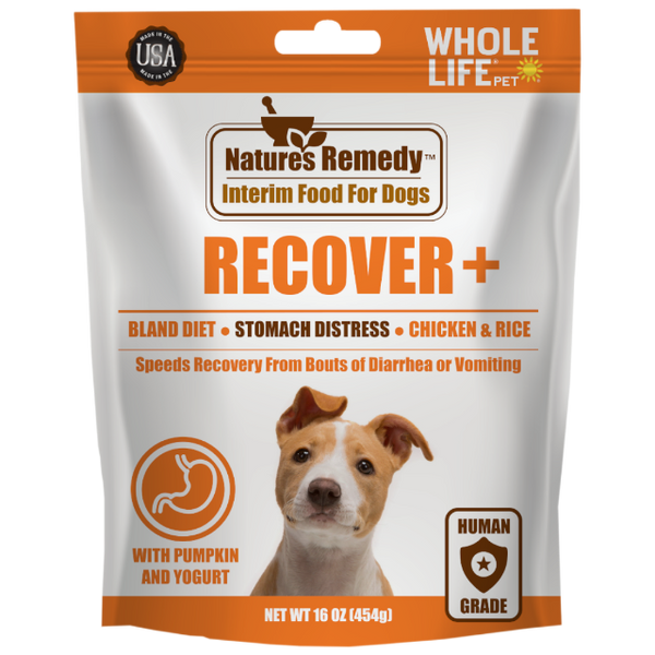 Best dog food for dogs with diarrhea hotsell