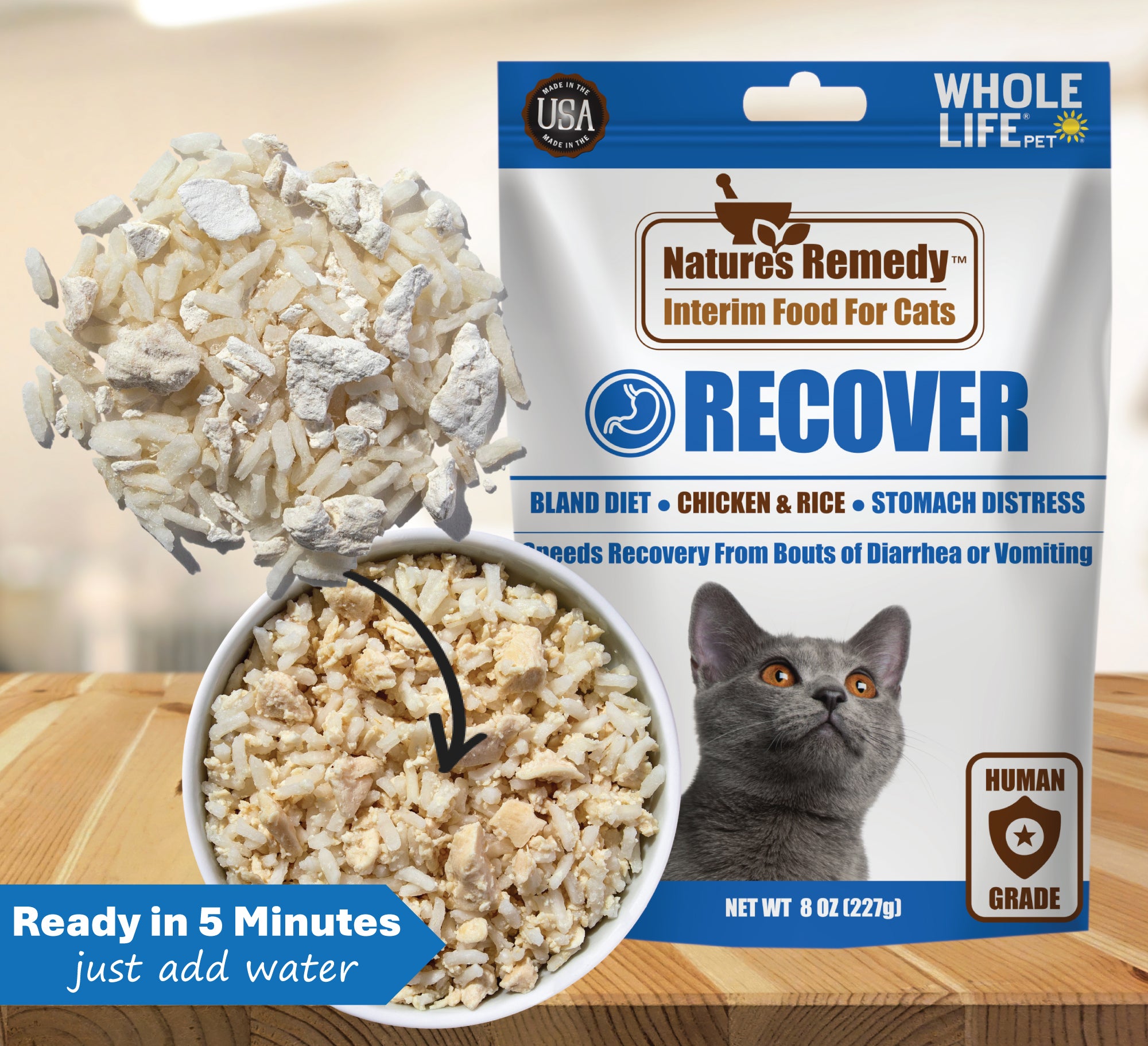 Nature's Remedy Recover comida provisional para gatos para el malestar estomacal