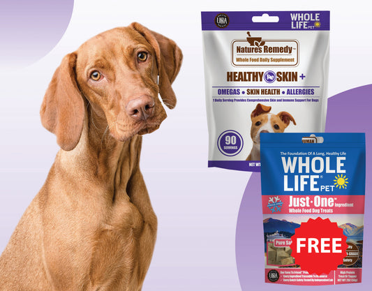 Healthy Skin & Allergy Support Bundle - Nature's Remedy Healthy Skin + FREE Just One Salmon Treats 2oz ($42 Value)