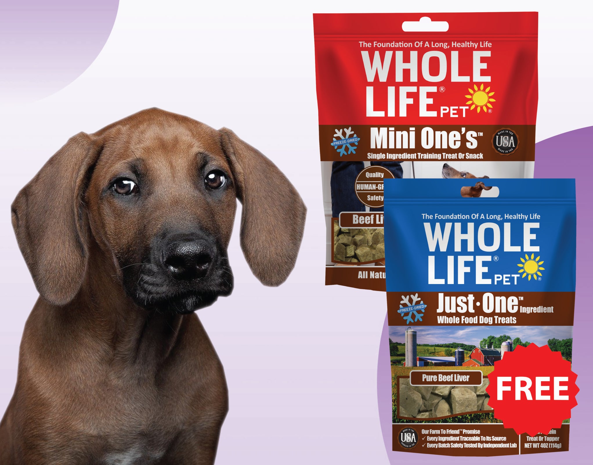 Mini Treat Bundle - Mini One's Beef Liver 6oz + FREE Just One Beef Liver Treats 4oz ($25 Value)