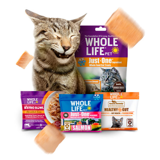 FREE CAT SAMPLER PACK