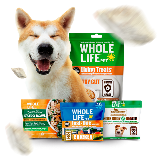 FREE DOG SAMPLER PACK