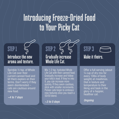 Freeze-Dried Wet Food for Cats