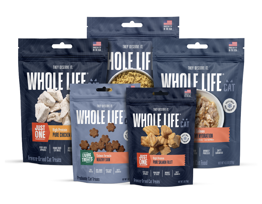 Explorer’s Pack for Cats