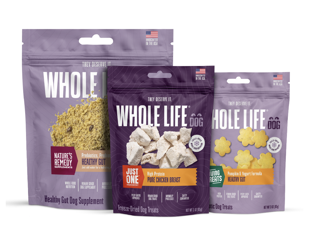 Healthy Gut Bundle for Dogs