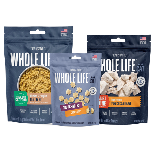 Gut Health Bundle for Cats