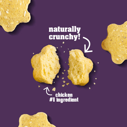 Crunchables: Pumpkin and Yogurt