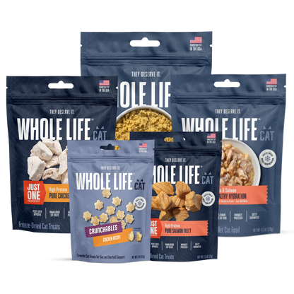 Explorer’s Pack for Cats