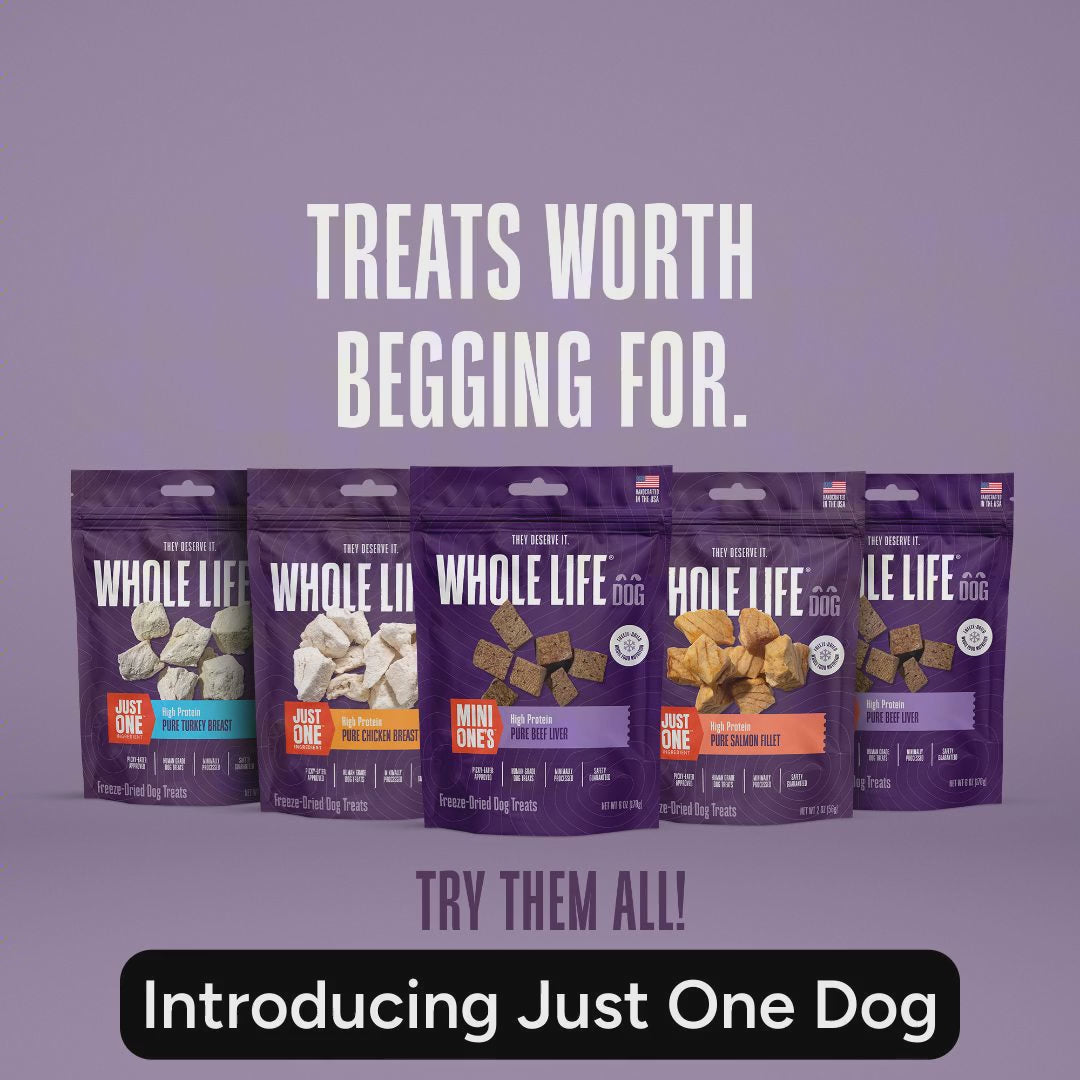 Just One Ingredient Turkey Treats For Dogs