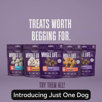Just One Ingredient Beef Liver Treats For Dogs.  Human Grade and Grain Free - Made In Our Own Kitchen