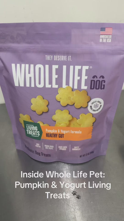 Living Treats – Pumpkin and Yogurt Recipe Probiotic Treats For Dogs.  Human Grade and Grain Free - Made In Our Own Kitchen