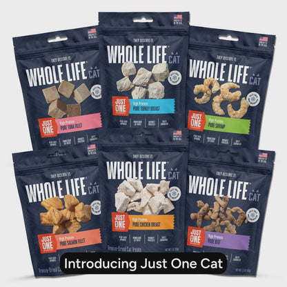 Just One Salmon Cat Treats – Human Grade, Picky Eater Approved, Made in Our Own Kitchens