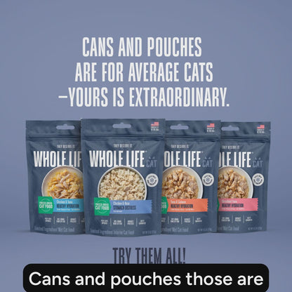 Hydrating Snack and Meal Complement For Cats – Healthy Gut Pâté