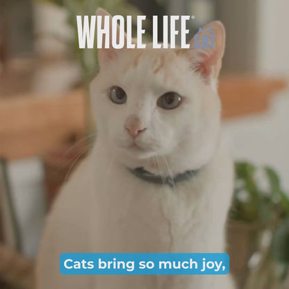 Living Treats – Snack probiótico intestinal saludable para gatos
