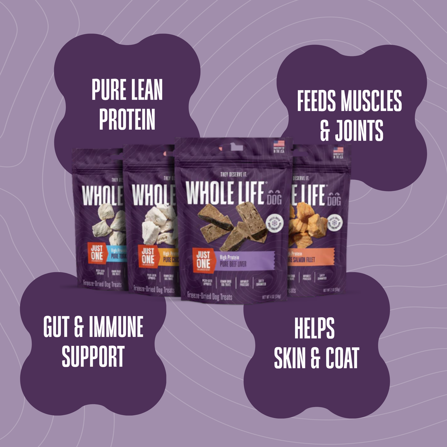 Protein Rotation Bundle