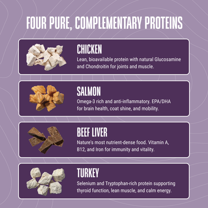 Protein Rotation Bundle