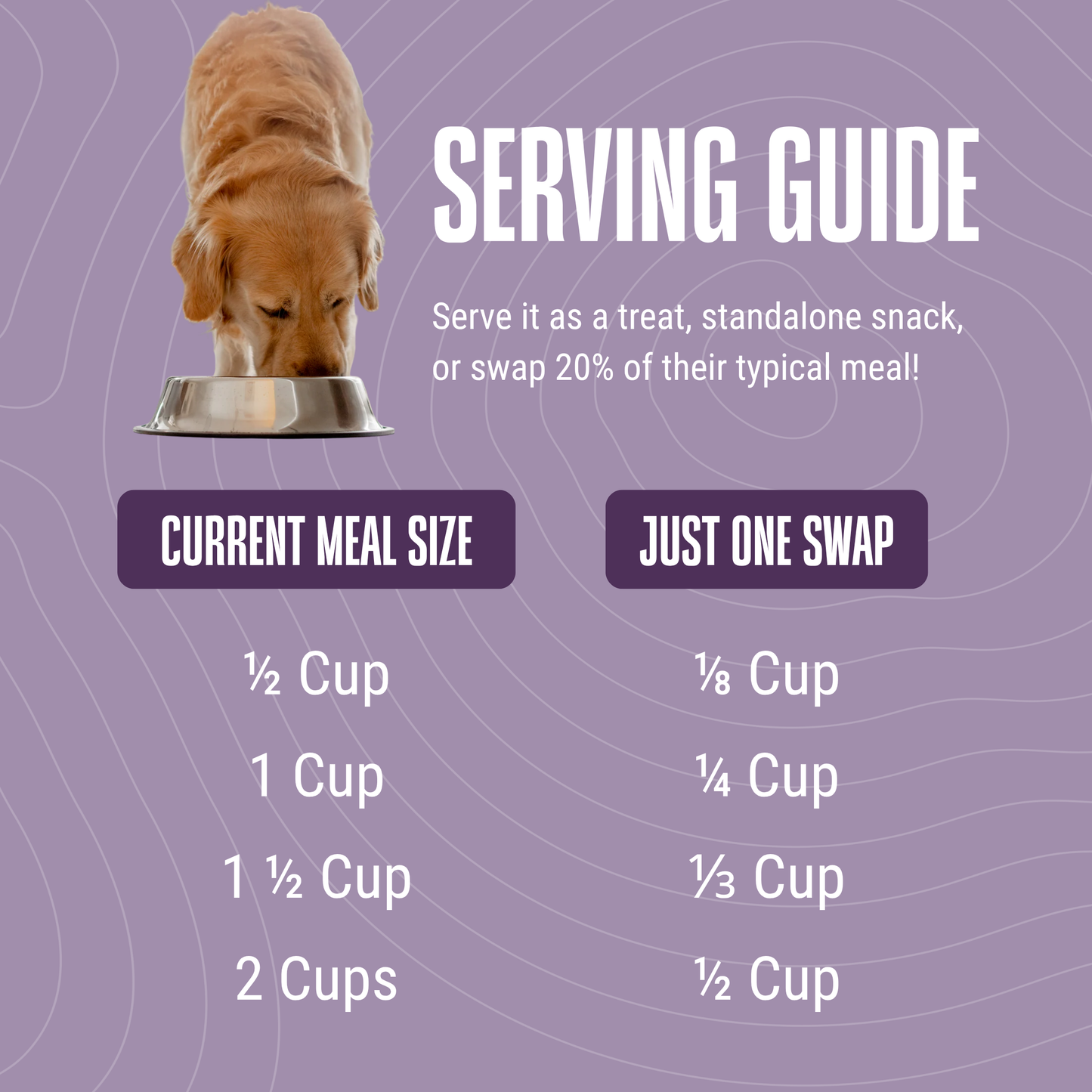 Protein Rotation Bundle