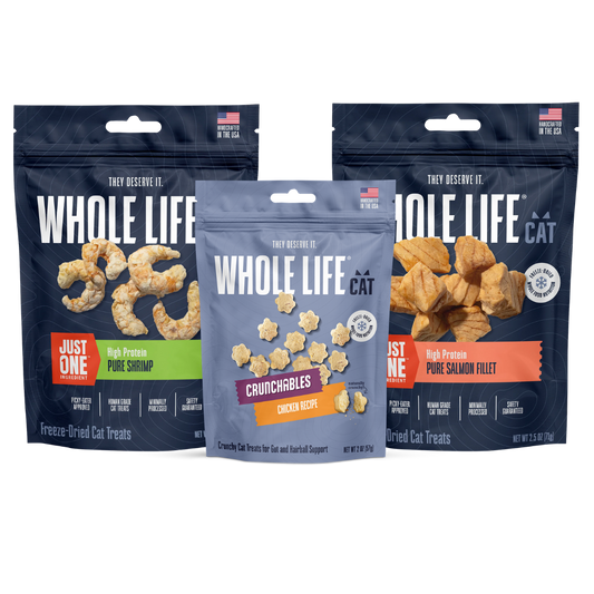 Purr-fect Start Bundle